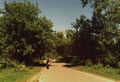 Сормовский парк дорога со стороны ул. Ярошенко